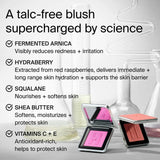 Close-up of Haus Labs Color Fuse Blush Watermelon Bliss ingredients including fermented arnica and hydraberry